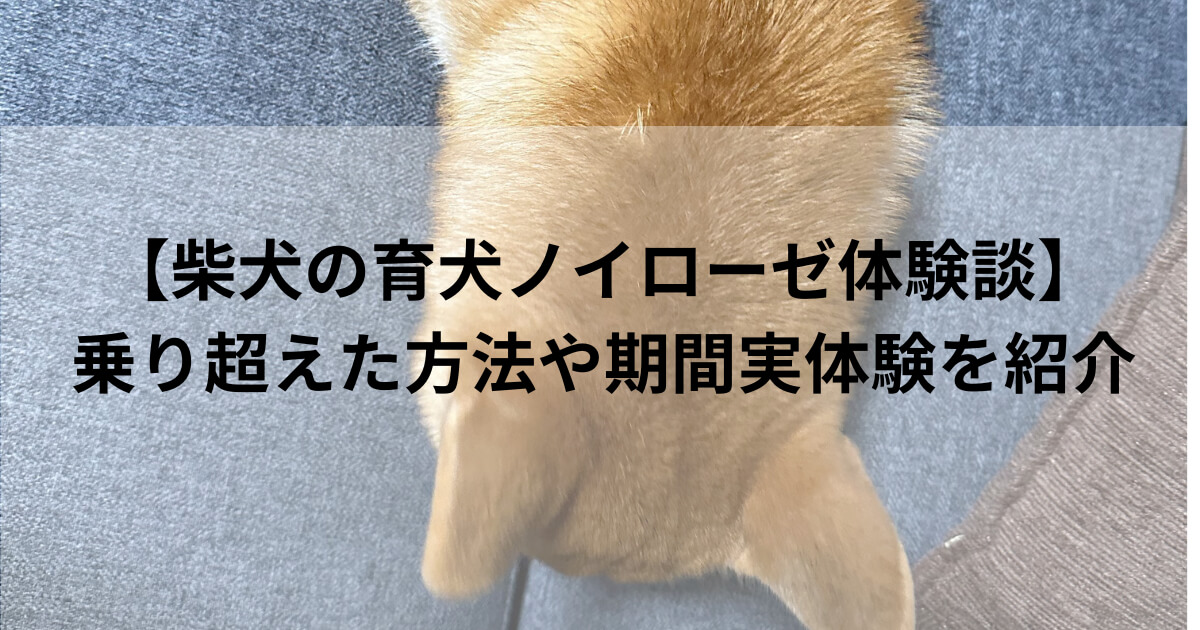 【柴犬の育犬ノイローゼ体験談】乗り超えた方法や期間を紹介